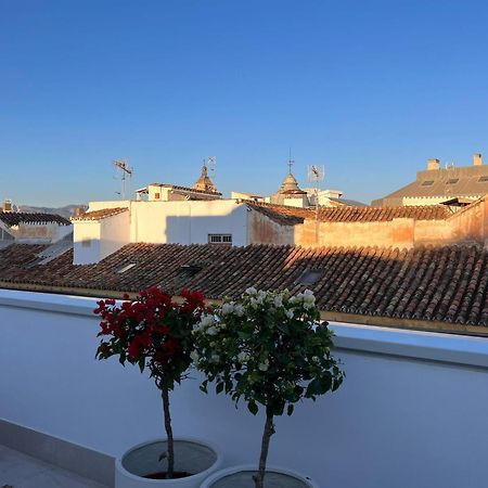 Atarazanas Suite, Atico Con Terraza Malaga Ngoại thất bức ảnh